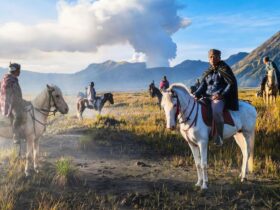 Koper Wisatawan Thailand Raib di Bromo, Parkir Liar Diduga Jadi Celah Aksi Kriminal