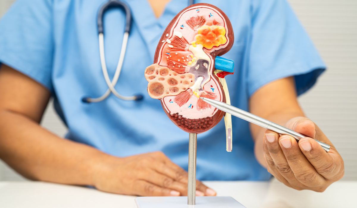 15 Gejala Sakit Ginjal yang Sering Tidak Disadari, Jangan Anggap Remeh!