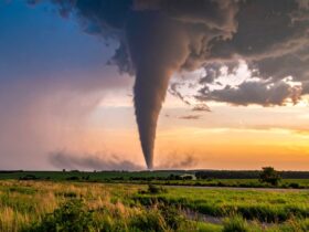 Puting Beliung Terjang Situbondo, 8 Rumah Rusak dan 45 Warga Terdampak